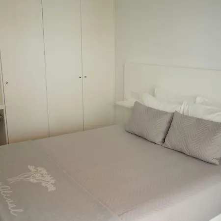 Do Olival Villa Ponta Delgada (Sao Miguel)